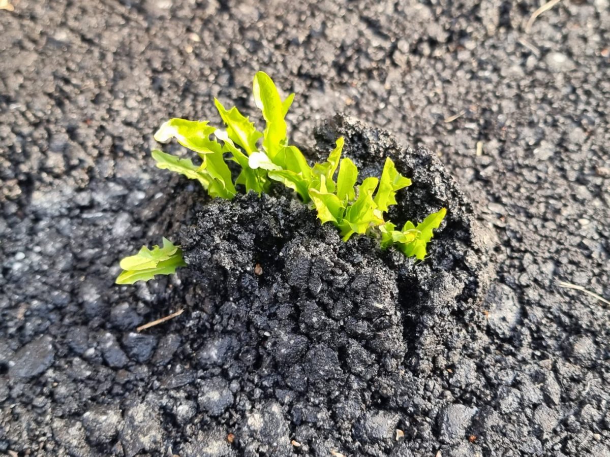 April 3
