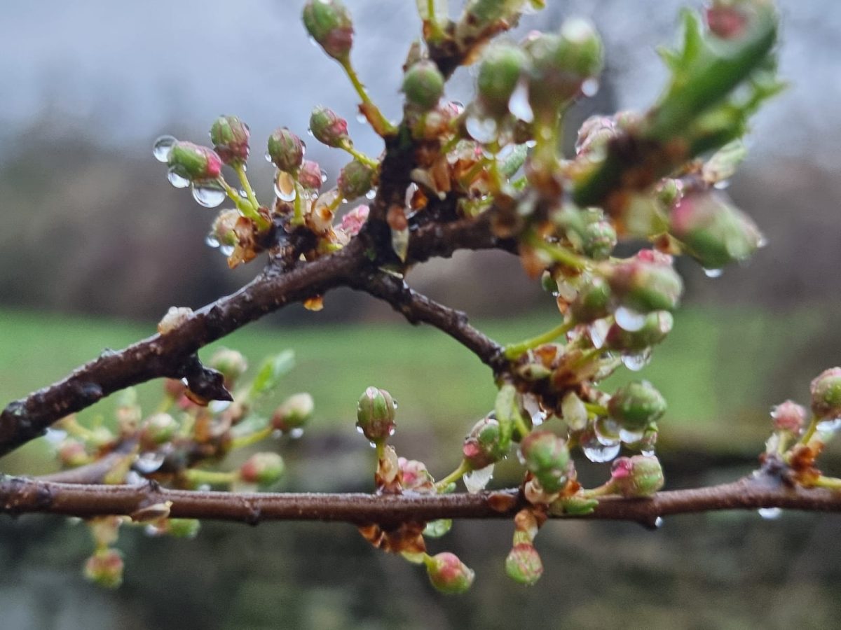 April 4